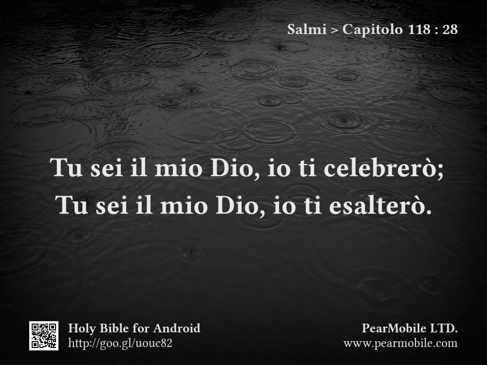 Salmi, Capitolo 118:28